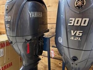 Brand new Yamaha F300 (V6 4.2L)