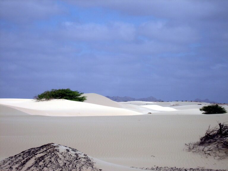 Boa Vista: safari 4x4 pelo deserto de Viana e o naufrágio do Cabo Santa Maria