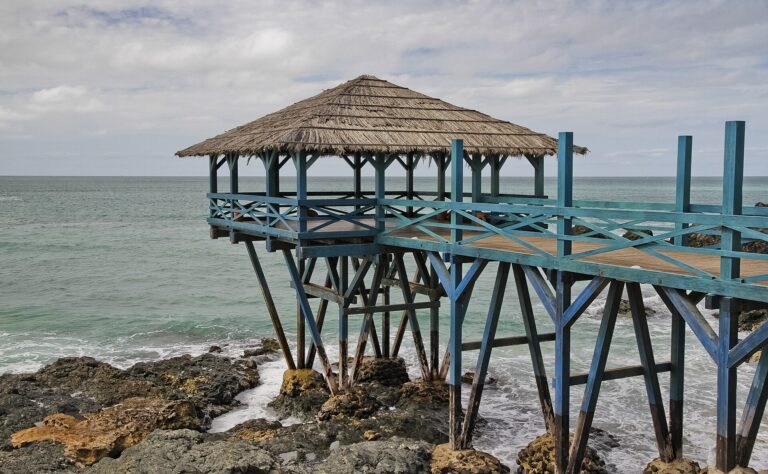 Boa Vista: observação noturna de tartarugas (época de desova)