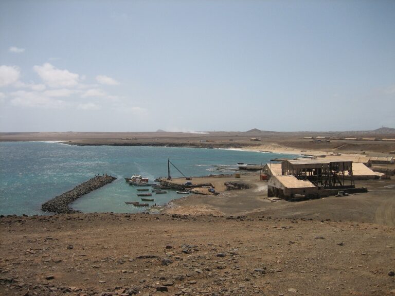 Sal: tubarões-limão na Baía da Parda (Shark Bay)