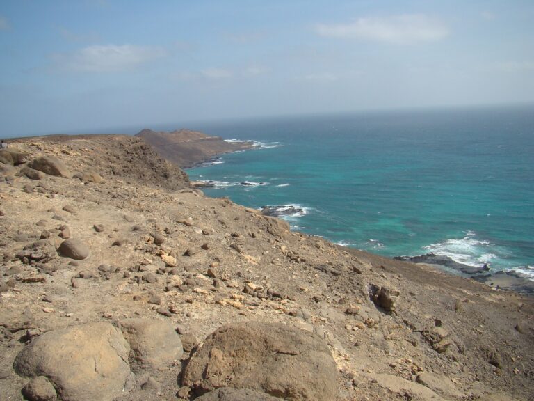 Sal: tubarões-limão na Baía da Parda (Shark Bay)