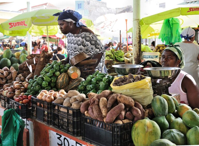 Santiago: aula de cachupa e cozinha cabo-verdiana na Praia