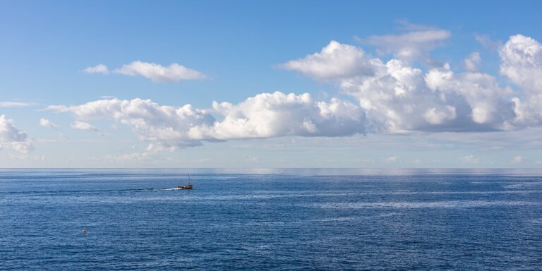 Sal: pesca desportiva em alto mar