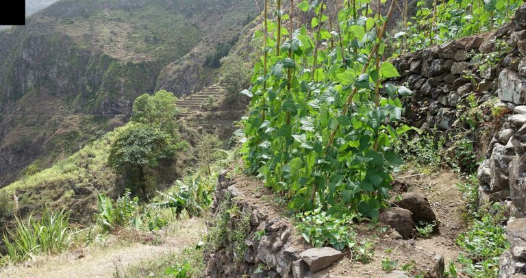 Santo Antão: travessia de 2 dias com noite em casa de família
